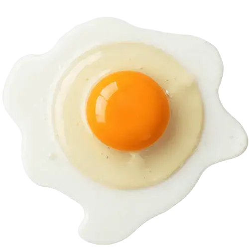 Raw Egg