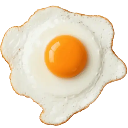 Cooked Egg